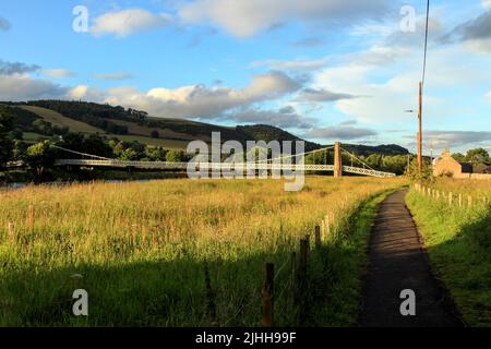 Hängebrücke, Gattonside Hängebrücke, über den Fluss Tweed, Melrose, Scottish Borders, Schottland, Großbritannien Stockfoto