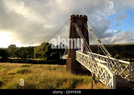 Hängebrücke, Gattonside Hängebrücke, über den Fluss Tweed, Melrose, Scottish Borders, Schottland, Großbritannien Stockfoto