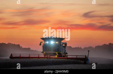 18. Juli 2022, Mecklenburg-Vorpommern, Groß Welzin: Ein Mähdrescher fährt nach Sonnenuntergang über ein Feld, um Weizen zu ernten. Die Landwirte in Norddeutschland nutzen derzeit das trockene Wetter, um Getreide zu ernten. Foto: Jens Büttner/dpa Stockfoto
