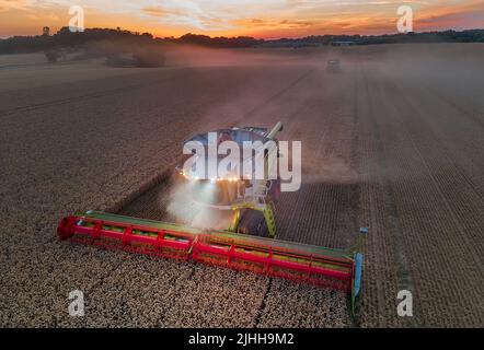 18. Juli 2022, Mecklenburg-Vorpommern, Groß Welzin: Ein Mähdrescher fährt nach Sonnenuntergang über ein Weizenfeld. (Luftaufnahme mit einer Drohne) Landwirte in Norddeutschland nutzen derzeit das trockene Wetter, um Getreide zu ernten. Foto: Jens Büttner/dpa Stockfoto