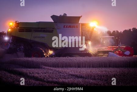 18. Juli 2022, Mecklenburg-Vorpommern, Groß Welzin: Ein Mähdrescher fährt nach Sonnenuntergang über ein Feld, um Weizen zu ernten. Die Landwirte in Norddeutschland nutzen derzeit das trockene Wetter, um Getreide zu ernten. Foto: Jens Büttner/dpa Stockfoto