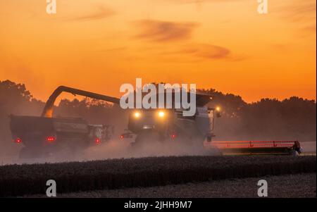 18. Juli 2022, Mecklenburg-Vorpommern, Groß Welzin: Ein Mähdrescher fährt nach Sonnenuntergang über ein Feld, um Weizen zu ernten. Die Landwirte in Norddeutschland nutzen derzeit das trockene Wetter, um Getreide zu ernten. Foto: Jens Büttner/dpa Stockfoto