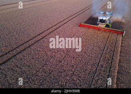 18. Juli 2022, Mecklenburg-Vorpommern, Groß Welzin: Ein Mähdrescher fährt nach Sonnenuntergang über ein Weizenfeld. (Luftaufnahme mit einer Drohne) Landwirte in Norddeutschland nutzen derzeit das trockene Wetter, um Getreide zu ernten. Foto: Jens Büttner/dpa Stockfoto