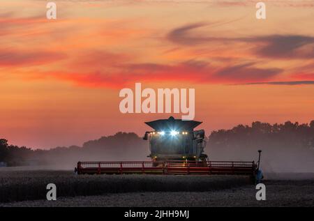 18. Juli 2022, Mecklenburg-Vorpommern, Groß Welzin: Ein Mähdrescher fährt nach Sonnenuntergang über ein Feld, um Weizen zu ernten. Die Landwirte in Norddeutschland nutzen derzeit das trockene Wetter, um Getreide zu ernten. Foto: Jens Büttner/dpa Stockfoto