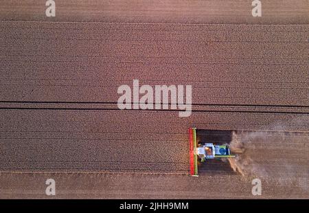 18. Juli 2022, Mecklenburg-Vorpommern, Groß Welzin: Ein Mähdrescher fährt nach Sonnenuntergang über ein Weizenfeld. (Luftaufnahme mit einer Drohne) Landwirte in Norddeutschland nutzen derzeit das trockene Wetter, um Getreide zu ernten. Foto: Jens Büttner/dpa Stockfoto