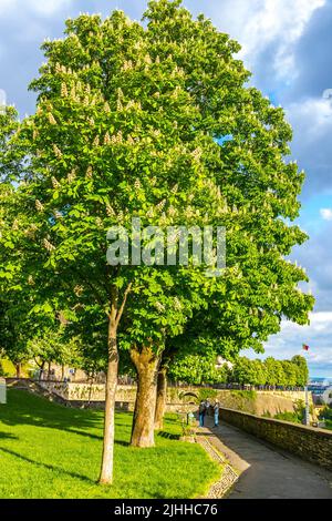 Sonniger Frühlingsabend im St. John's Park (italienisch: Parco di San Giovanni) in der Altstadt von Bergamo, Provinz Lombardei, Italien Stockfoto