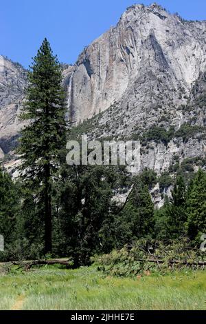 Der Blick vom Cook's Meadow Loop im Yosemite Valley im Yosemite National Park. Aufgenommen an einem hellen, wolkenlosen frühen Sommernachmittag. Stockfoto