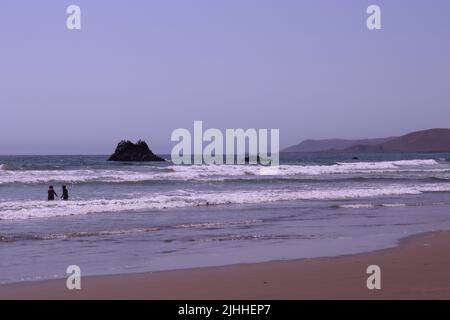 Ein ruhiger, leicht bewölktes Nachmittag an einem Strand in der Nähe von Cayucos, CA mit wenigen Menschen und sanften Wellen. Morro Bay liegt in der Ferne mit seinem riesigen Felsen. Stockfoto