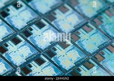 Siliziumwafer mit Mikrochips, die in der Elektronik zur Herstellung integrierter Schaltungen verwendet werden. High-Tech-Makrohintergrund im Vollformat. Stockfoto