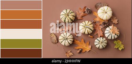 Schöne Herbstkomposition mit Kürbissen und gefallenen Blättern auf braunem Hintergrund. Unterschiedliche Farbmuster Stockfoto