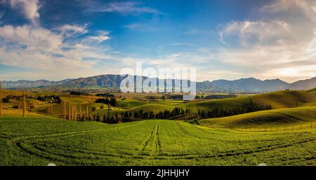 Die atemberaubenden grünen Hügel und Täler der endlosen Farm Land rund um Mount Michael Road, Fairlie Stockfoto