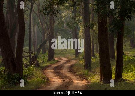 Schöne Landschaften des Nagarhole National Park von Indien. Stockfoto