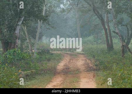 Schöne Landschaften des Nagarhole National Park von Indien. Stockfoto