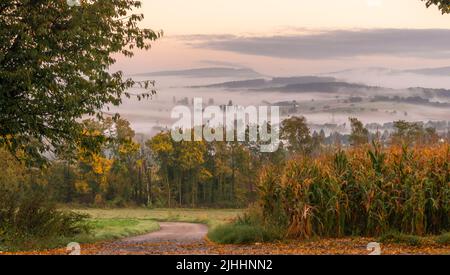 Herbstlandschaft in Oetlingen, Deutschland. Stockfoto