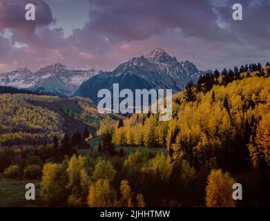 Dawn, Aspen, Populus Tremula, Mount Sneffels, Dallas Divide, Uncompahgre National Forest, Colorado Stockfoto