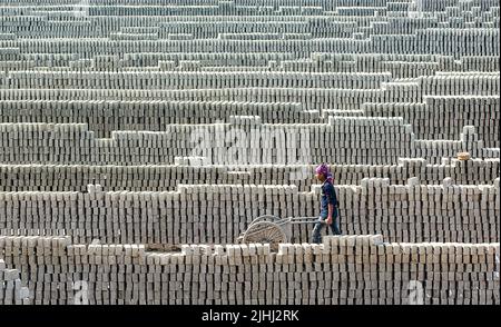 Brickfield in Natore, Bangladesch Stockfoto