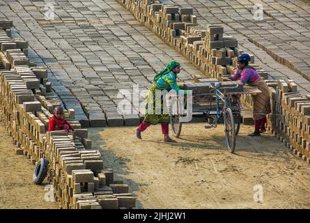 Brickfield in Natore, Bangladesch Stockfoto