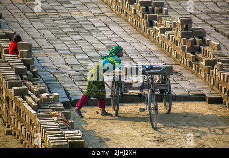 Brickfield in Natore, Bangladesch Stockfoto