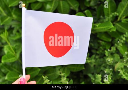 Nahaufnahme der Nationalflagge Japans, runder roter Kreis auf weißem Hintergrund Stockfoto