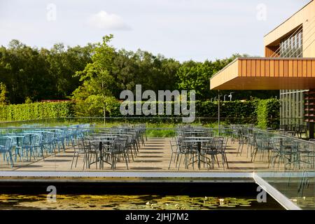 RHS Bridgewater in Worsley, Salford. Willkommen Garten terrassenförmig Stockfoto