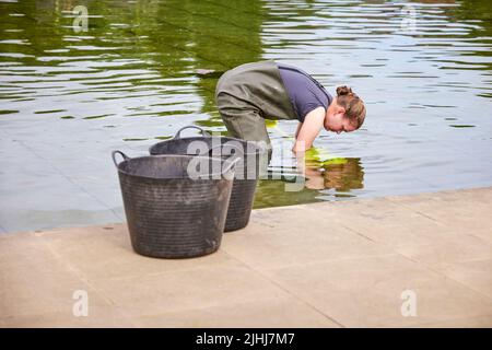 RHS Bridgewater in Worsley, Salford. Das Paradise Garden Wasserspiel Stockfoto