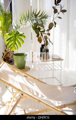 Sonniges Wohnzimmer mit grünen Pflanzen und Sonnenliege Stockfoto