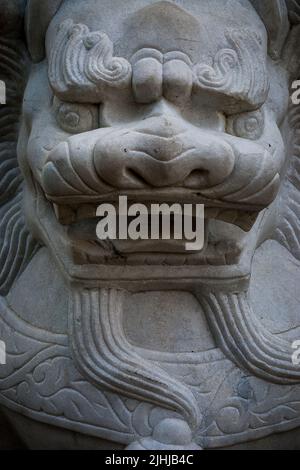 Ein geschnitzter Steinlöwe bewacht einen Gebäudeeingang in Central, Hong Kong Island Stockfoto