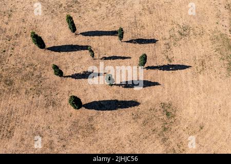 Zwenkau, Deutschland. 19.. Juli 2022. Acht Eichen werfen ihre Schatten auf eine ausgetrocknete Wiese am Zwenkauer See. Quelle: Jan Woitas/dpa/Alamy Live News Stockfoto