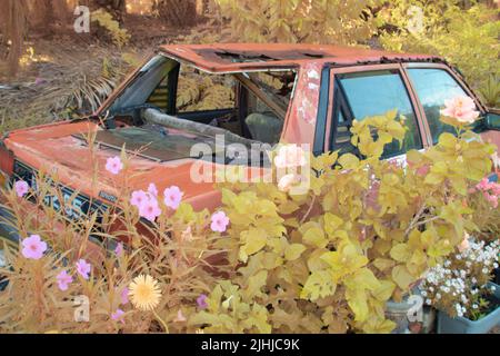 Infrarotbild Szene eines verlassenen Fahrzeugs in den Büschen. Stockfoto