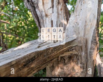 Eine Inschrift auf Italienisch mit dem Wort 'Legalität' (legalità) ruht auf dem zerbrochenen Stamm eines Baumes Stockfoto
