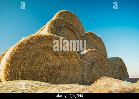 Pyramide aus Heuballen gegen den blauen Himmel Stockfoto