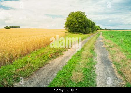 Straße neben einem Feld mit Getreide, Sommer ländlichen Blick Stockfoto