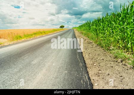 Eine asphaltierte Straße durch ein grünes Maisfeld und Wolken am Himmel Stockfoto