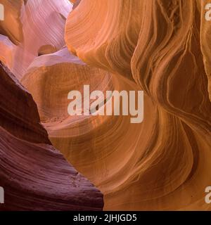 Glatte Sandsteinformen in Lower Antelope Canyon, Arizona, USA. Stockfoto