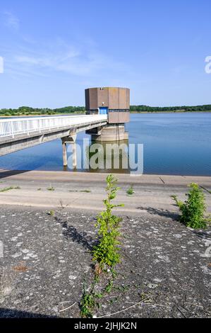 Lewes UK 19. July 2022 - der Wasserstand im Arlington Reservoir in der Nähe von Lewes in East Sussex ist heute während der aktuellen Hitzewelle zu 71% voll, wobei die Temperaturen in einigen Teilen Großbritanniens voraussichtlich über 40 Grad steigen werden. Eine extreme rote Wetterwarnung wurde für heute in Teilen Großbritanniens ausgegeben : Credit Simon Dack / Alamy Live News Stockfoto