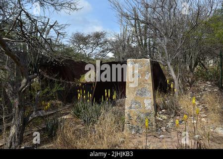 Die Ruinen der Goldmühle zerfallen und verlassen, umgeben von wilden Blumen. Stockfoto