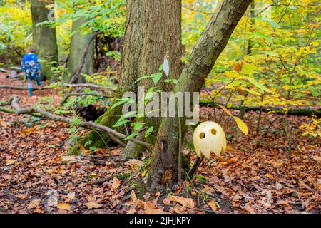 Sheffield, Großbritannien - 31. Oktober 2019: Jack o Laternen auf dem Halloween Trail in Eccleshall Woods finden Stockfoto