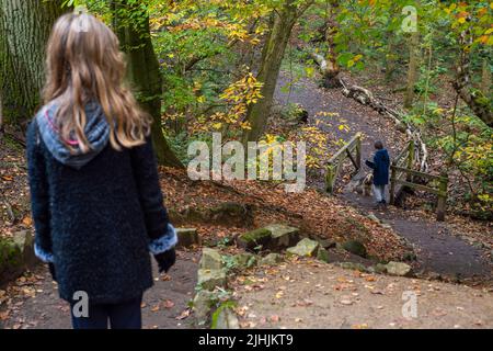 Sheffield, Großbritannien - 31 Oct 2019: Ein Mädchen blickt über steile Stufen im Wald zu ihrem Bruder an einem Tor unten, dem Herbstwald von Eccleshall Woods Stockfoto
