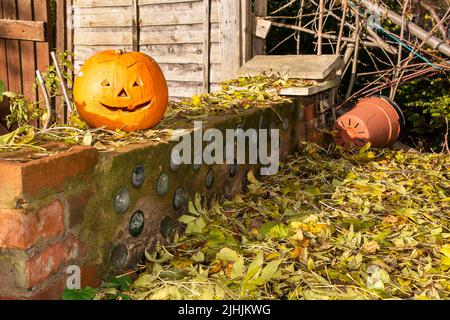 Sheffield, Großbritannien - 31 Oct 2019: Ein langsam verfaulender Kürbis-Jack oder Laterne, die in meinem Garten hinter dem Haus zwischen Chaos und herbstlichen Herbstblättern abgelegt wurde Stockfoto