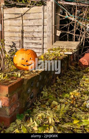 Sheffield, Großbritannien - 31 Oct 2019: Ein langsam verfaulender Kürbis-Jack oder Laterne, die in meinem Garten hinter dem Haus zwischen Chaos und herbstlichen Herbstblättern abgelegt wurde Stockfoto