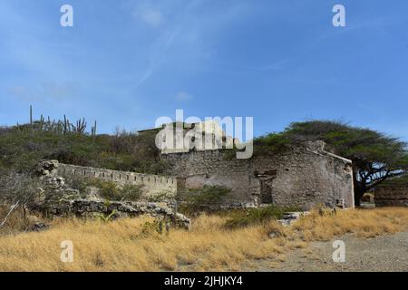 Alte historische Ruinen von Balashi Gold Mills in der Wüste von Aruba. Stockfoto