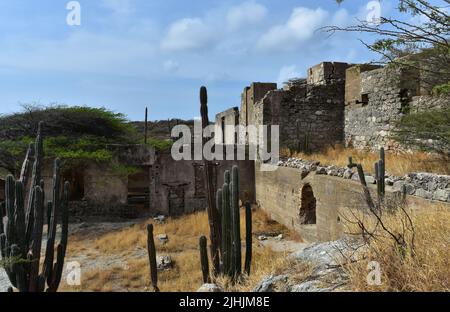 Peeling und Kaktus wachsen in und um die Ruinen der Balashi Gold Mill. Stockfoto