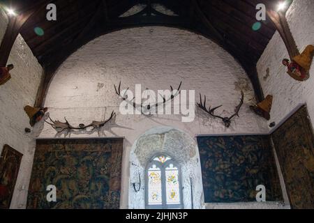 Großes Geweih an der Wand im Hauptraum des Bunratty Castle in Irland Stockfoto