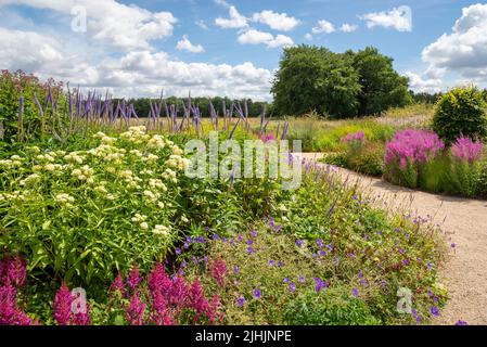 Der Worsley Welcome Garten im RHS Bridgewater, einem neuen Garten im Großraum Manchester, England. Juli 2022. Stockfoto