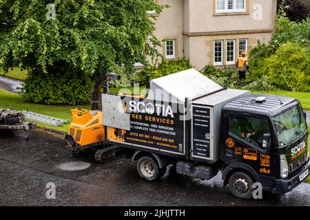 Scotia-Baumchirurg mit Hackmaschine, die Bäume und Sträucher in einem Vorort zerkleinert und PSA trägt, einschließlich Hut und Hi Vis. Stockfoto