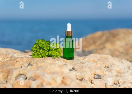Ein natürliches ätherisches Öl oder Serum in einer grünen Tropfflasche, die auf den Steinen am Meer steht Stockfoto