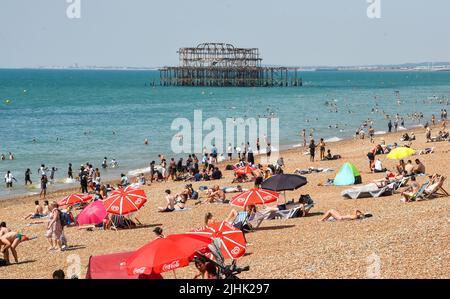 Brighton UK 19. July 2022 - Sonnenanbeter genießen den heißesten Tag des Jahres am Brighton Beach, da heute für Teile Großbritanniens Temperaturen von über 40 Grad prognostiziert werden. Eine rote Unwetterwarnung ist noch vorhanden, aber die Bedingungen werden sich in den nächsten Tagen abkühlen : Credit Simon Dack / Alamy Live News Stockfoto