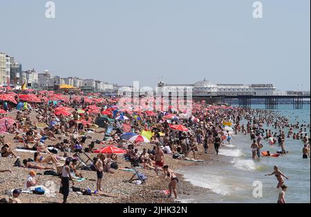 Menschen sonnen sich an einem überfüllten Brighton Beach. Die Briten werden am heißesten britischen Tag der Rekorde schmelzen, da die Temperaturen voraussichtlich auf 40C steigen werden. Bilddatum: Dienstag, 19. Juli 2022. Stockfoto