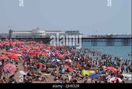 Menschen sonnen sich an einem überfüllten Brighton Beach. Die Briten werden am heißesten britischen Tag der Rekorde schmelzen, da die Temperaturen voraussichtlich auf 40C steigen werden. Bilddatum: Dienstag, 19. Juli 2022. Stockfoto