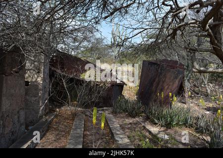 Alte Überreste und Ruinen von Balashi Gold in der Wüste von Aruba. Stockfoto